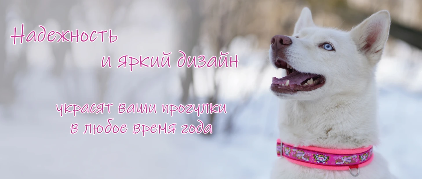 Reliability and bright design - decorate your walks any time of year